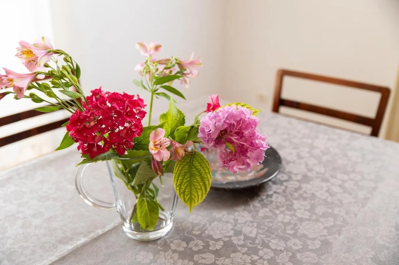 Palm And Palmino Garden Apartments Near Lungo Mare Lovran